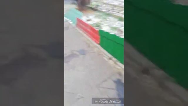 Мои собаки! Vlog\dog!!! смотреть онлайн