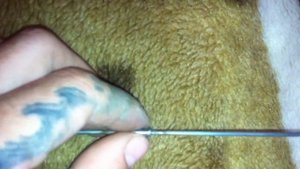 Самодельный шомпол для воздушки