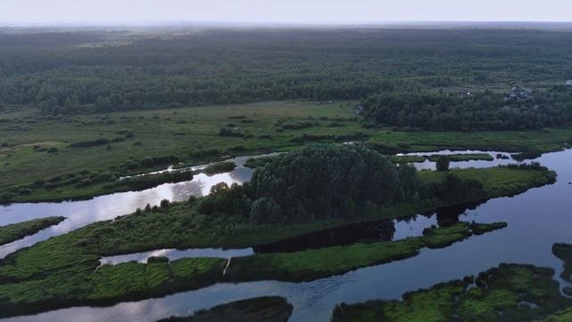 Сказочный зелёный остров на реке. Псковская область. 4K смотреть онлайн