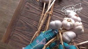 КОСА из ЧЕСНОКА / Легко и просто!