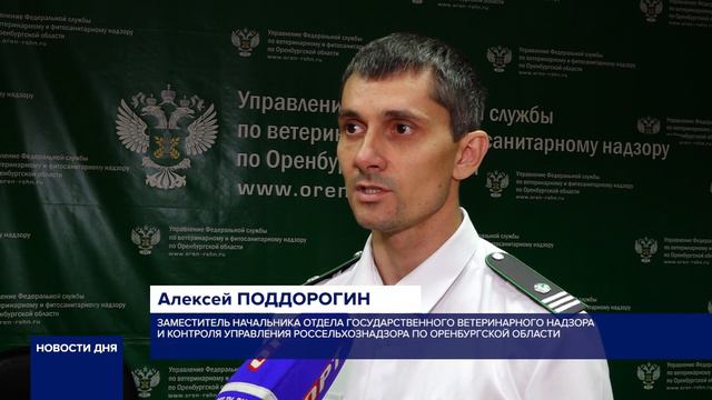 ВСТУПАЮТ В СИЛУ НОВЫЕ ПРАВИЛА ПЕРЕВОЗКИ ЖИВОТНЫХ ЗА ПРЕДЕЛЫ РОССИИ