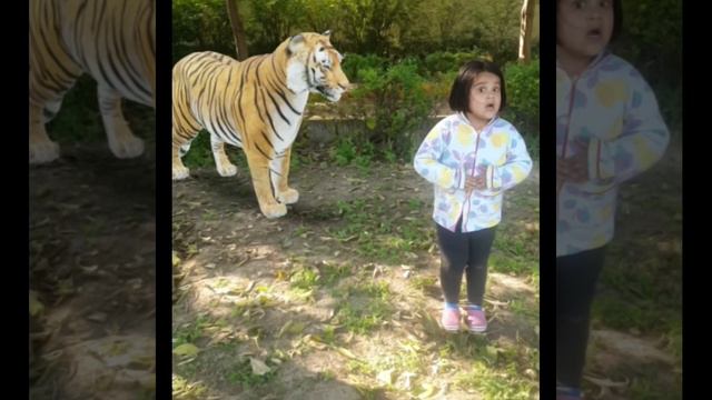 WILD ANIMALS !EASIEST PROJECT!3D PROJECT!NURSERY PROJECT! VIRTUAL ZOO PROJECT смотреть онлайн