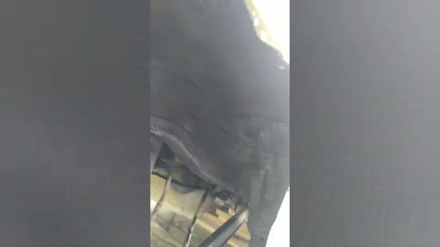 пушсало нигрол обработка кузова Daewoo Matiz смотреть онлайн