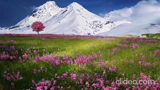 Relax смотреть онлайн