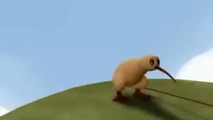 Киви птичка.avi