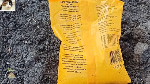 Как вносить доломитовую муку в почву осенью для раскисления огорода