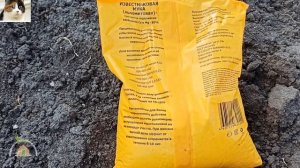 Как вносить доломитовую муку в почву осенью для раскисления огорода