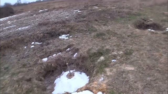 Пчеловодные будни смотреть онлайн