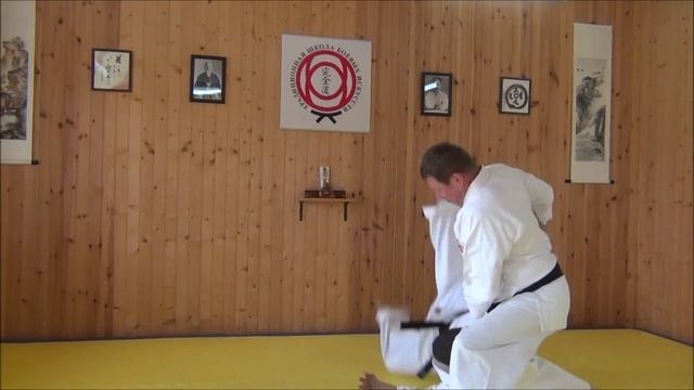 Karate Aikido video | For my TTT friends смотреть онлайн