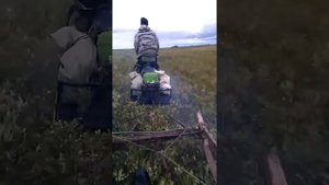 Едем на снегоходе Буран по земле. Поездка на охоту.