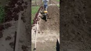 Работа мотоблоком в огороде село ават
