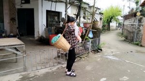 Single Mom 18 Year Old - Harvesting a lot of Chicken Eggs goes to sell