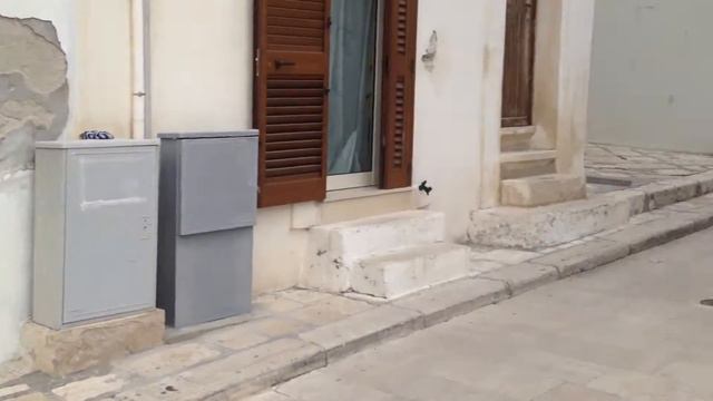 Monopoli. Италия 6.04.2015 смотреть онлайн