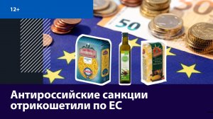 Евросоюз страдает от антироссийских санкций — Москва FM