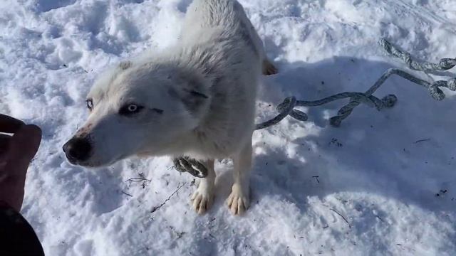 рыбалка Воркута смотреть онлайн