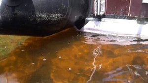 River Boats 430 НДНД надувная лодка ПВХ рассказ о эксплуатации