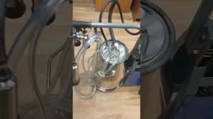 ДОИЛЬНЫЙ АППАРАТ ПОРШНЕВОЙ - для коровы
