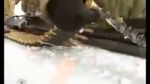 Крупнокалиберный пулемет НСВНСВТ 12 7мм 'Утес'