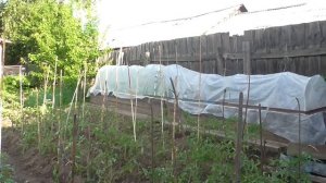 Место приравненное к районам Крайнего Севера Что тут растёт