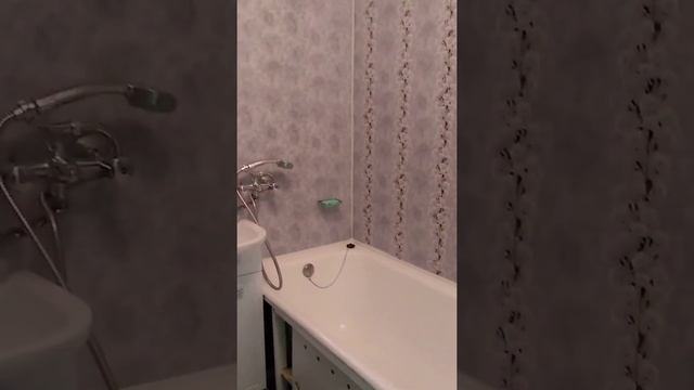 аренда однокомнатной квартиры, питер