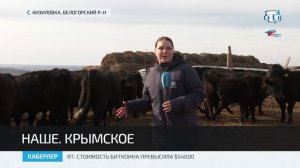 В Крыму выращивают коров абердин-ангусской породы