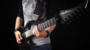 Sabaton - Carolus Rex - Cover by Minniva featuring Quentin Cornet - HD