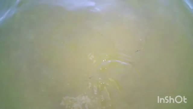 Вода в Черном море #Витязево2021#пляжи#анапа_2021 смотреть онлайн