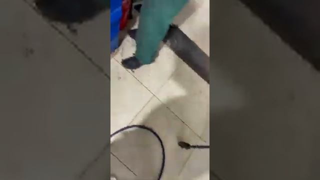 Как всегда- ШЛИЦЫ и Kia смотреть онлайн