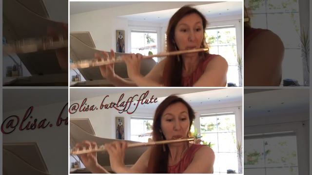 Sergei Prokofiev - Peter and the Wolf – Flute Solo / Flute Excerpt смотреть онлайн