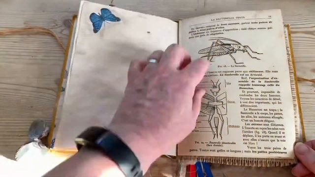 Quick silent flip through Robinson Crusoe Junk Journal смотреть онлайн