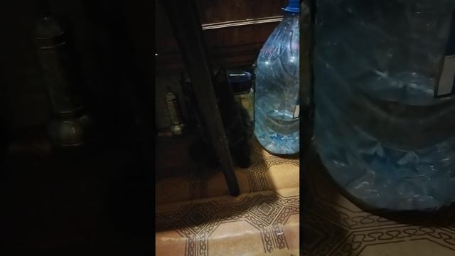 НОВЫЕ ДОСТИЖЕНИЯ КУЗЕНЬКИ!!! Малыш пошел, значит все будет хорошо!!!! смотреть онлайн