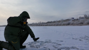 Нашёл стаю рыбы на метровой глубине. Зимняя рыбалка