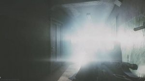 This show you that flashlights really works in Tarkov