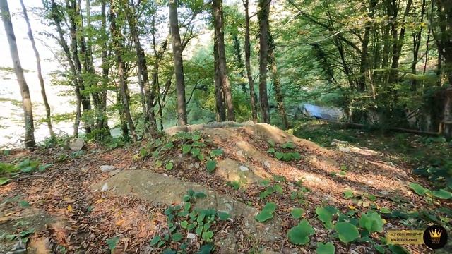 АНАЛОГОВ НЕТ Единственный в своем роде ЖК "Аллея парк" #СОЧИЮДВ |Квартиры в Cочи|Недвижимость в Соч смотреть онлайн