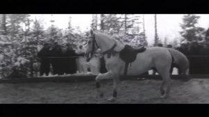 Отрывок из военного художественного фильма "Годен к нестроевой".