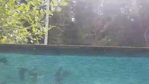 Видео отзыв: забор из сетки шириной 3метра 85% затеняющей защитной маскировочной