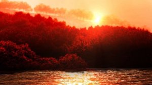 Greenfield Golden Ceylon