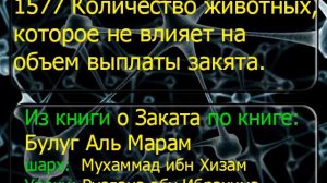1577 Количество животных, которое не влияет на объем выплаты закята