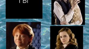 Выбирашки на тему Гарри Поттер#хогвартс#гаррипоттер #пикник