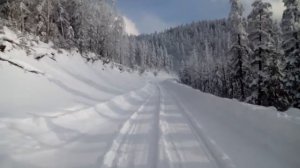 Тернейский район - Перевал Лунный. Зимний лес.  Terneisky District - Moon Pass. Winter forest.