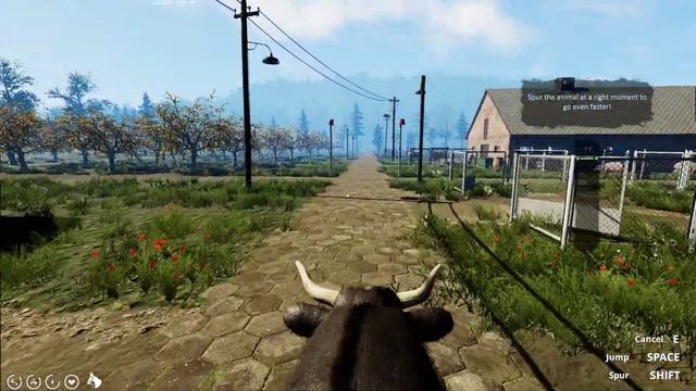 Farmer's Life | How to win a race with Anthony