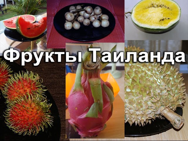Фрукты Тайланда - вкус, цвет, описание и употребление. смотреть онлайн
