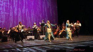 GEL YANIMA GEL - NİLGÜN KIZILCI (Neşet Ertaş Türküleri Senfonik Konseri 05 Kasım 2023)