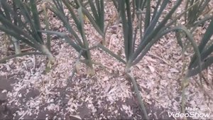 Садовый измельчитель