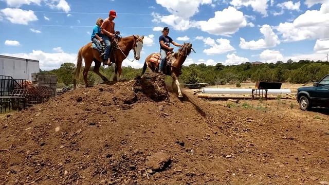 Horses Are They Ready? | Navajo Reservation horses going North to Idaho! | Rush's Blue Roan! смотреть онлайн