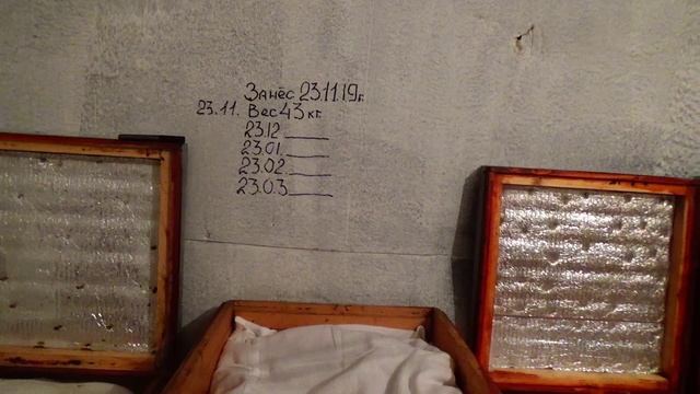 ОМШАНИК 2019 Эксперемент смотреть онлайн