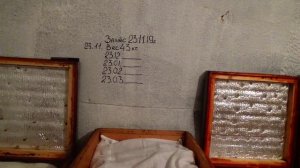 ОМШАНИК 2019 Эксперемент