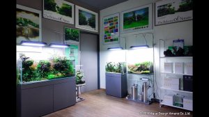 Обзор  магазина ADA Malaysia