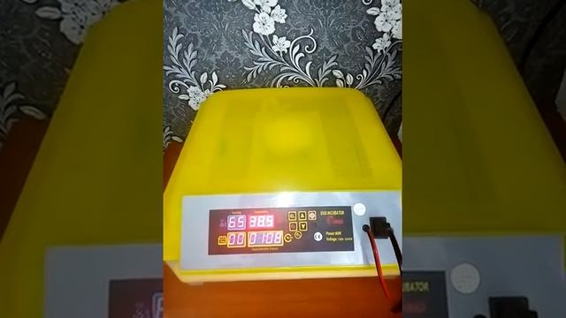 Китайский инкубатор на 48 яиц, нюансы по температуре, сброс датчика дней, закладка 1-3 дни. смотреть онлайн