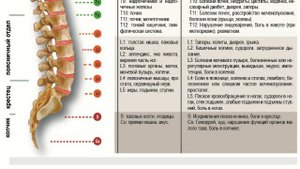 12 программ CERAGEM Master V3